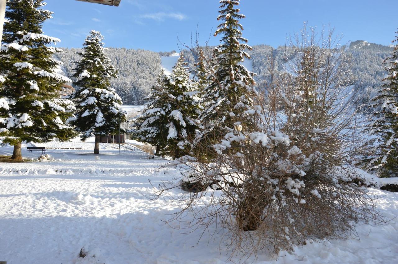 Villard De Lans Екстер'єр фото